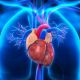 Heart Disease - Stem Cell Health - SG